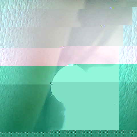 Single frame